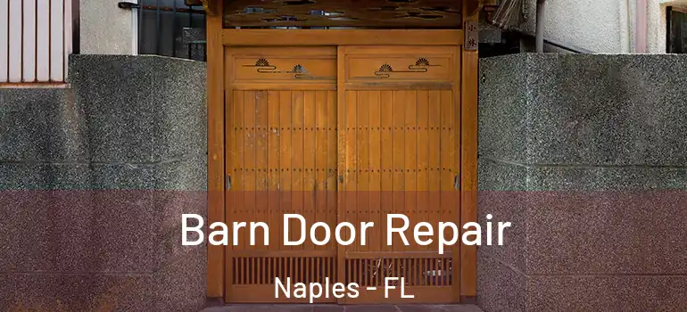  Barn Door Repair Naples - FL