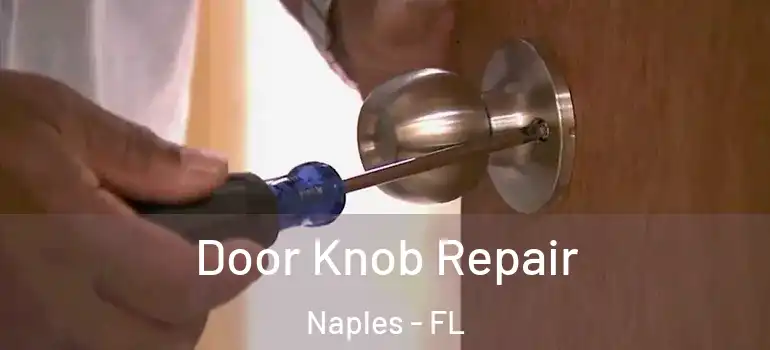  Door Knob Repair Naples - FL