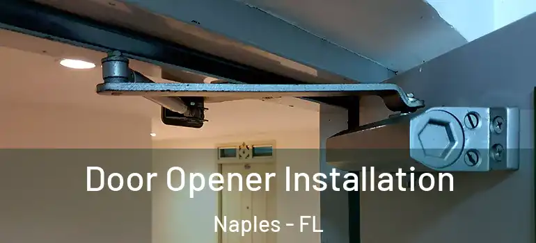  Door Opener Installation Naples - FL