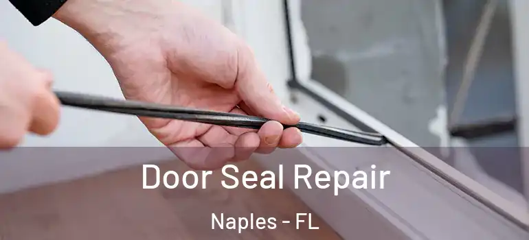  Door Seal Repair Naples - FL