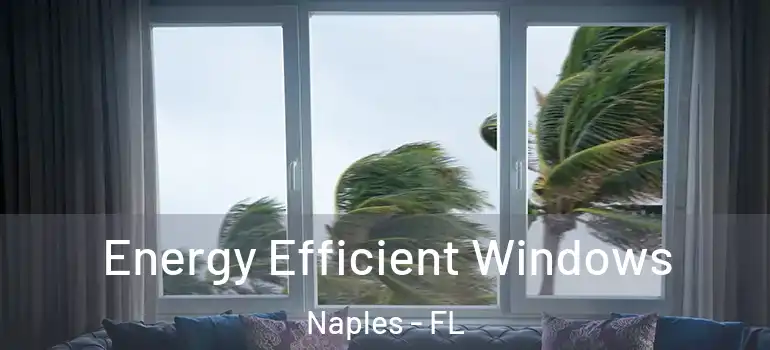  Energy Efficient Windows Naples - FL
