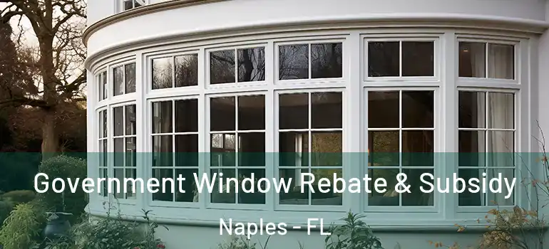 Government Window Rebate & Subsidy Naples - FL