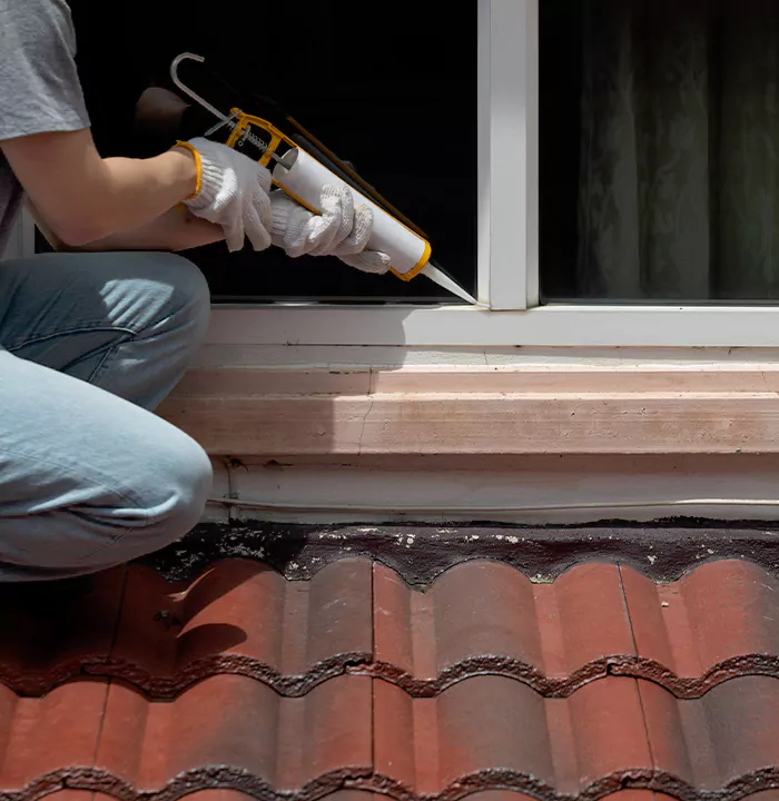 Roof Window Services in Naples, Florida