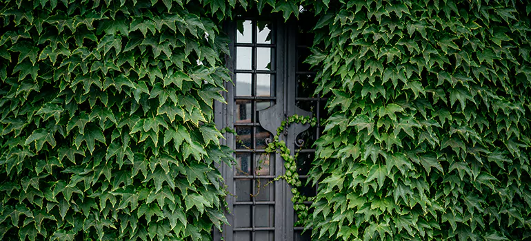 Garden Gate Repair in Naples, FL