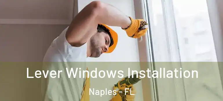  Lever Windows Installation Naples - FL
