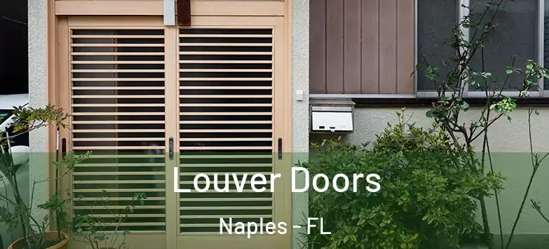  Louver Doors Naples - FL