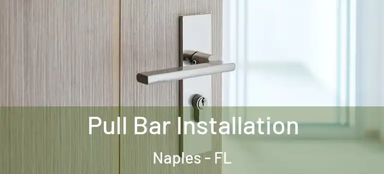  Pull Bar Installation Naples - FL