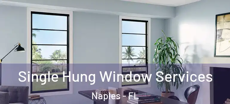  Single Hung Window Services Naples - FL