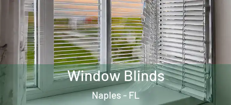  Window Blinds Naples - FL