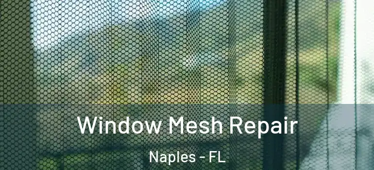  Window Mesh Repair Naples - FL