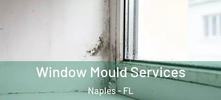  Window Mould Services Naples - FL