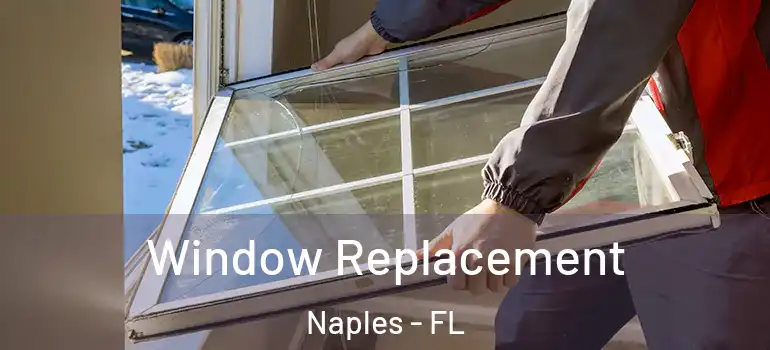  Window Replacement Naples - FL