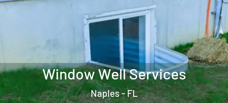  Window Well Services Naples - FL